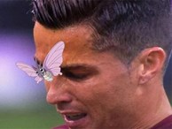 Ảnh vui về chú bướm đậu trên mặt Ronaldo